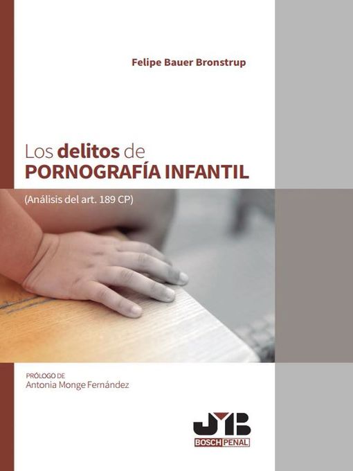 Cover image for Los delitos de pornografía infantil